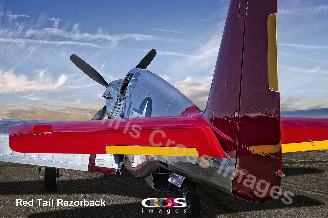 Red Tail RazorbackTextEmbedded.jpg