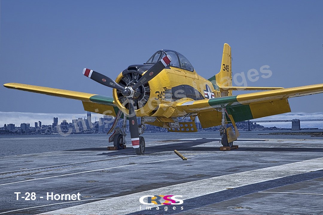 T-28  HornetTextEmbedded.jpg