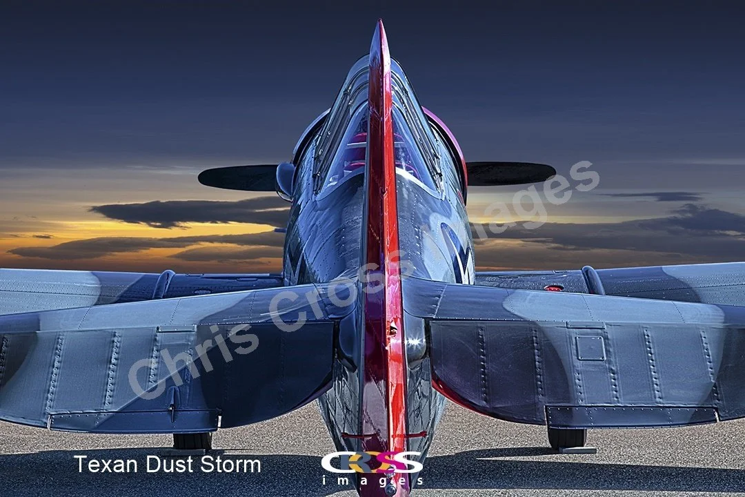 Texan Dust StormTextEmbedded.jpg