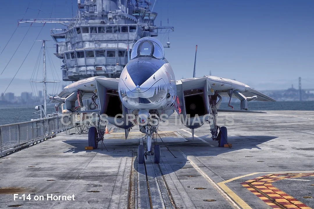 F-14 Hornet WithText.jpg