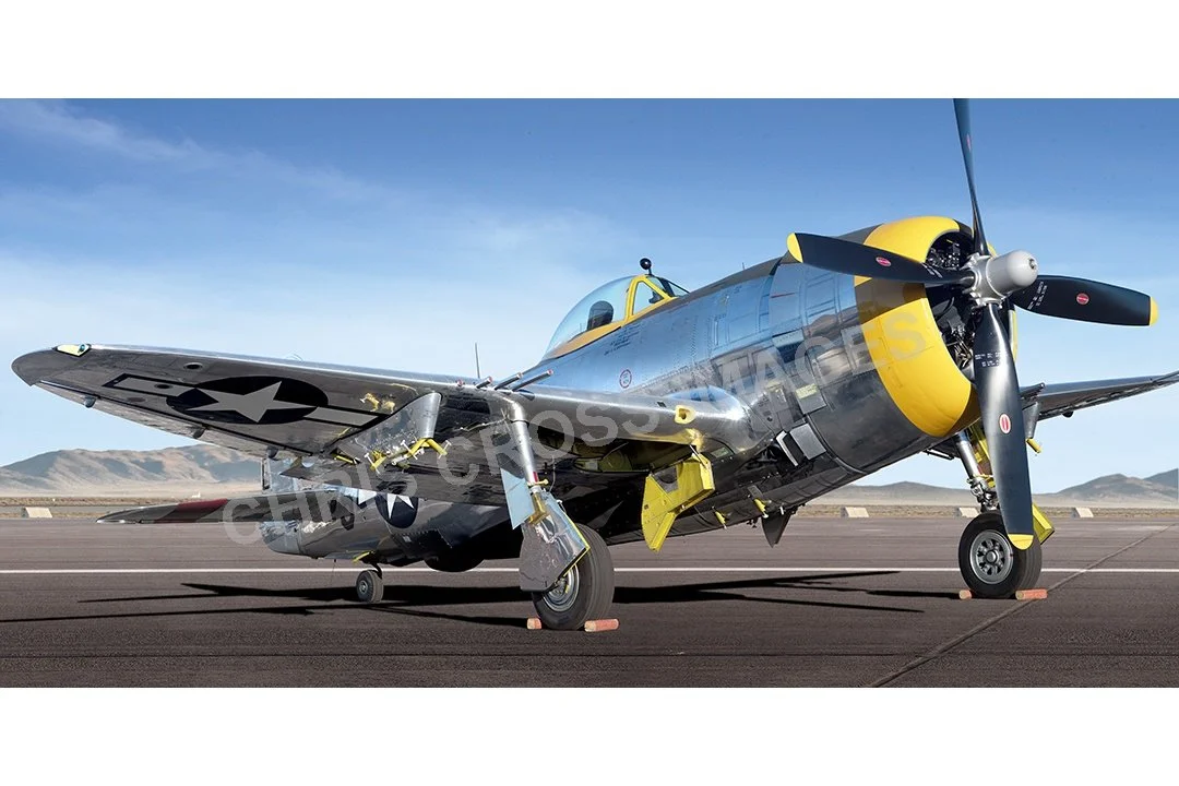 P-47 Dotty Mae  44 logo.jpg
