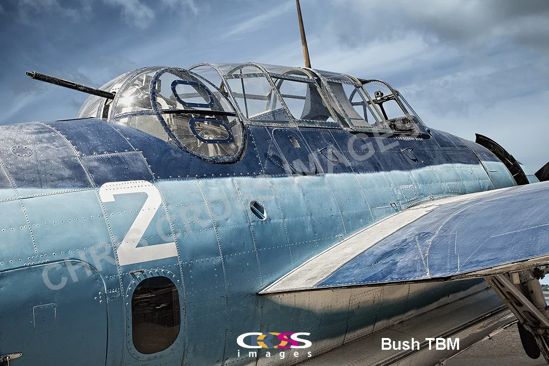 BushTBM textwith.jpg