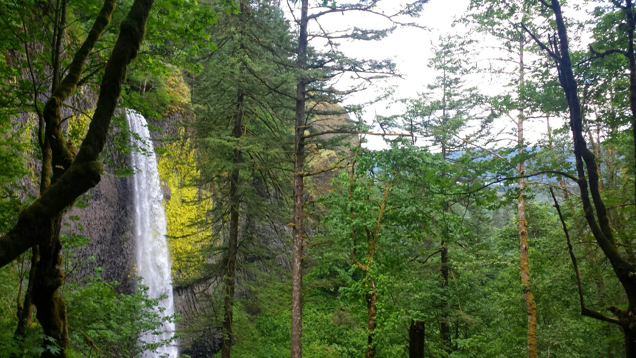  Hike past a waterfall near the Columbia River Gorge 