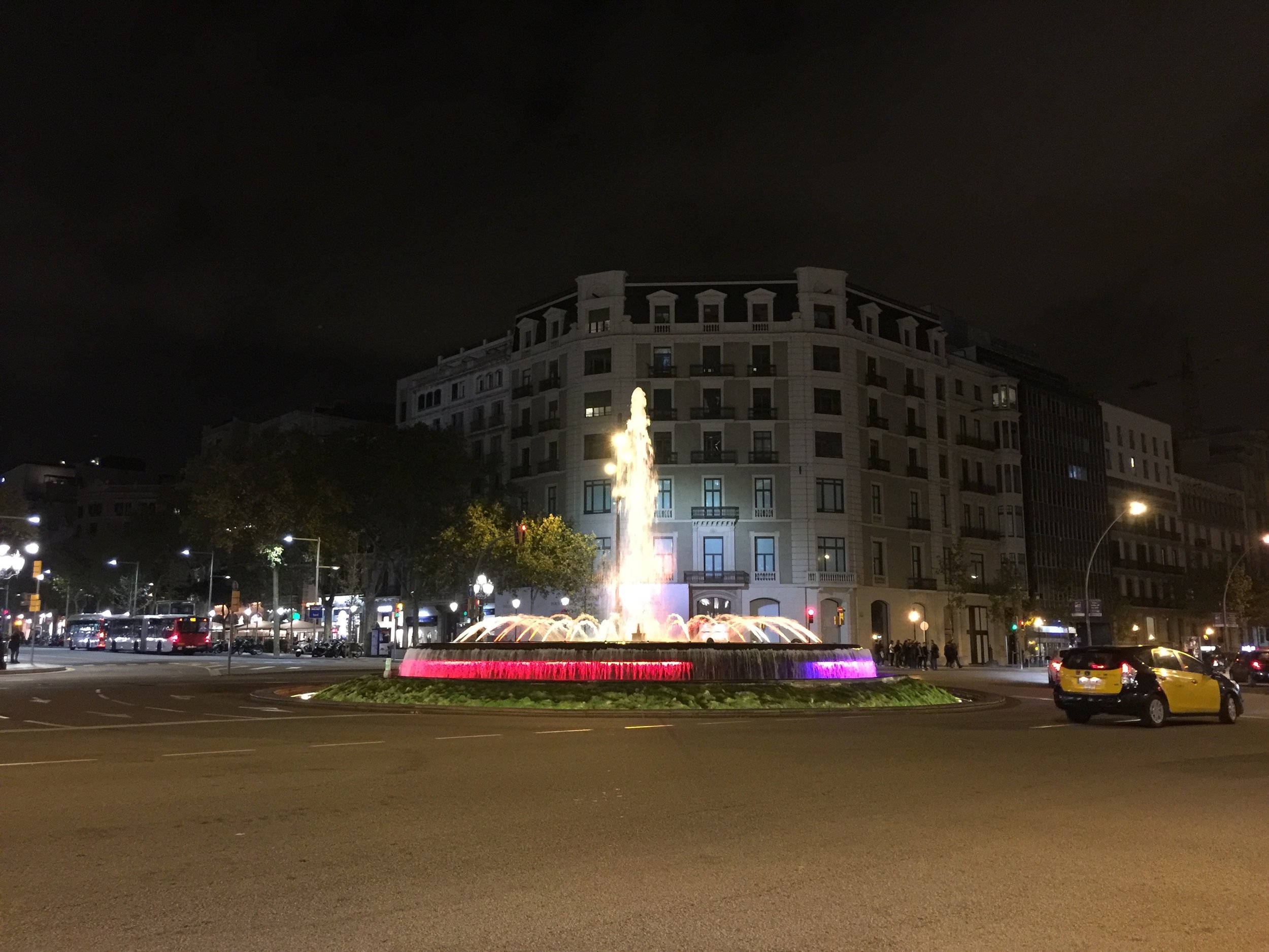 IMG_3482.jpg