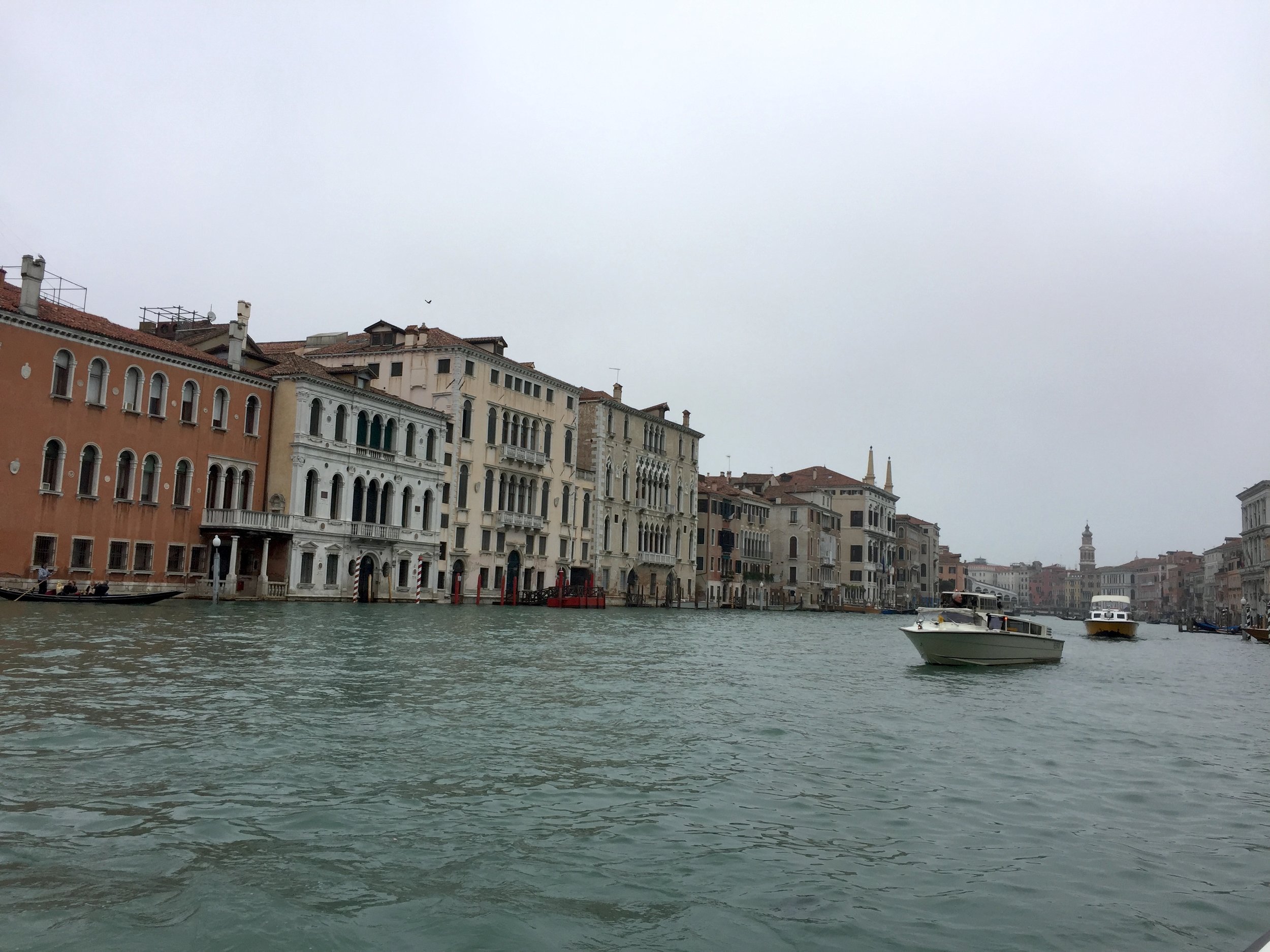 IMG_5386.jpg