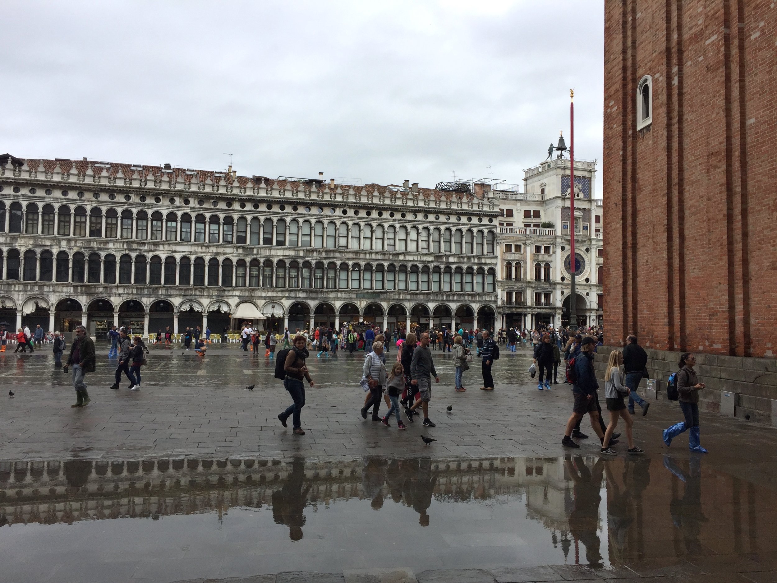 IMG_4516.jpg