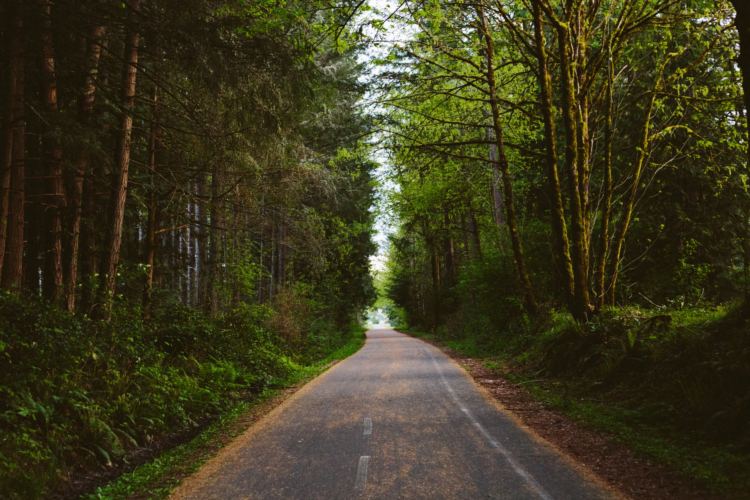 untitled-207.jpg