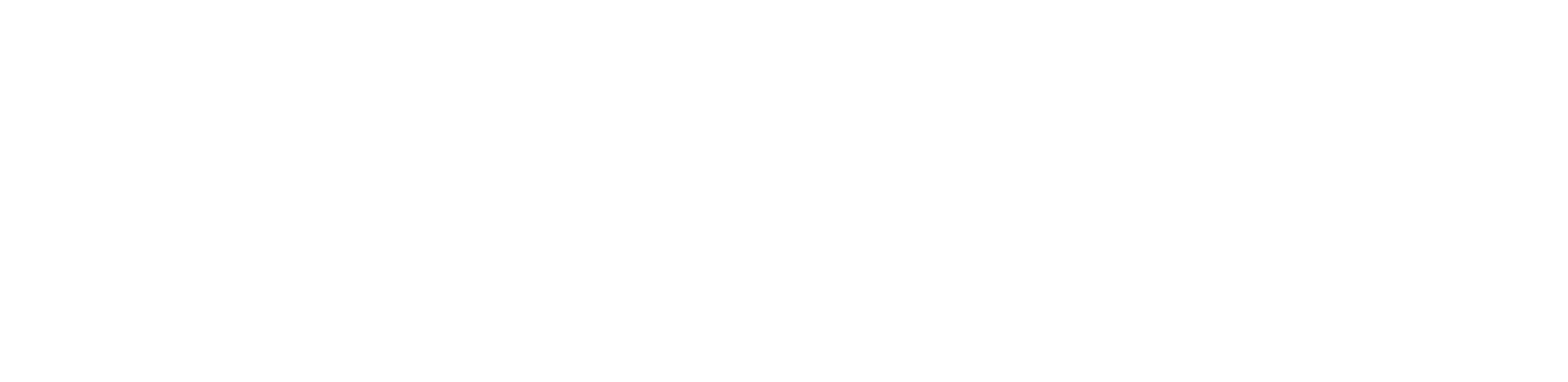 Modiron