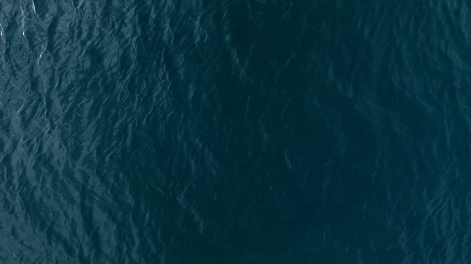 Water 01.jpg