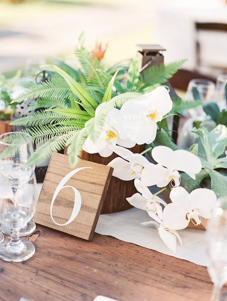 Brian+David-595.jpg