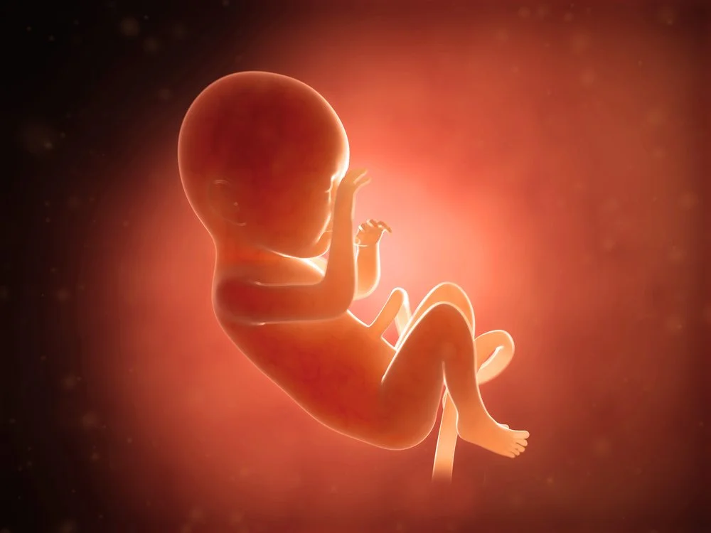 baby four.jpg