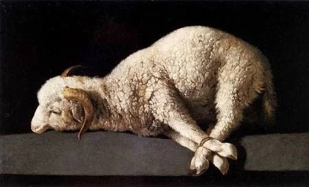 Lamb of God.jpg