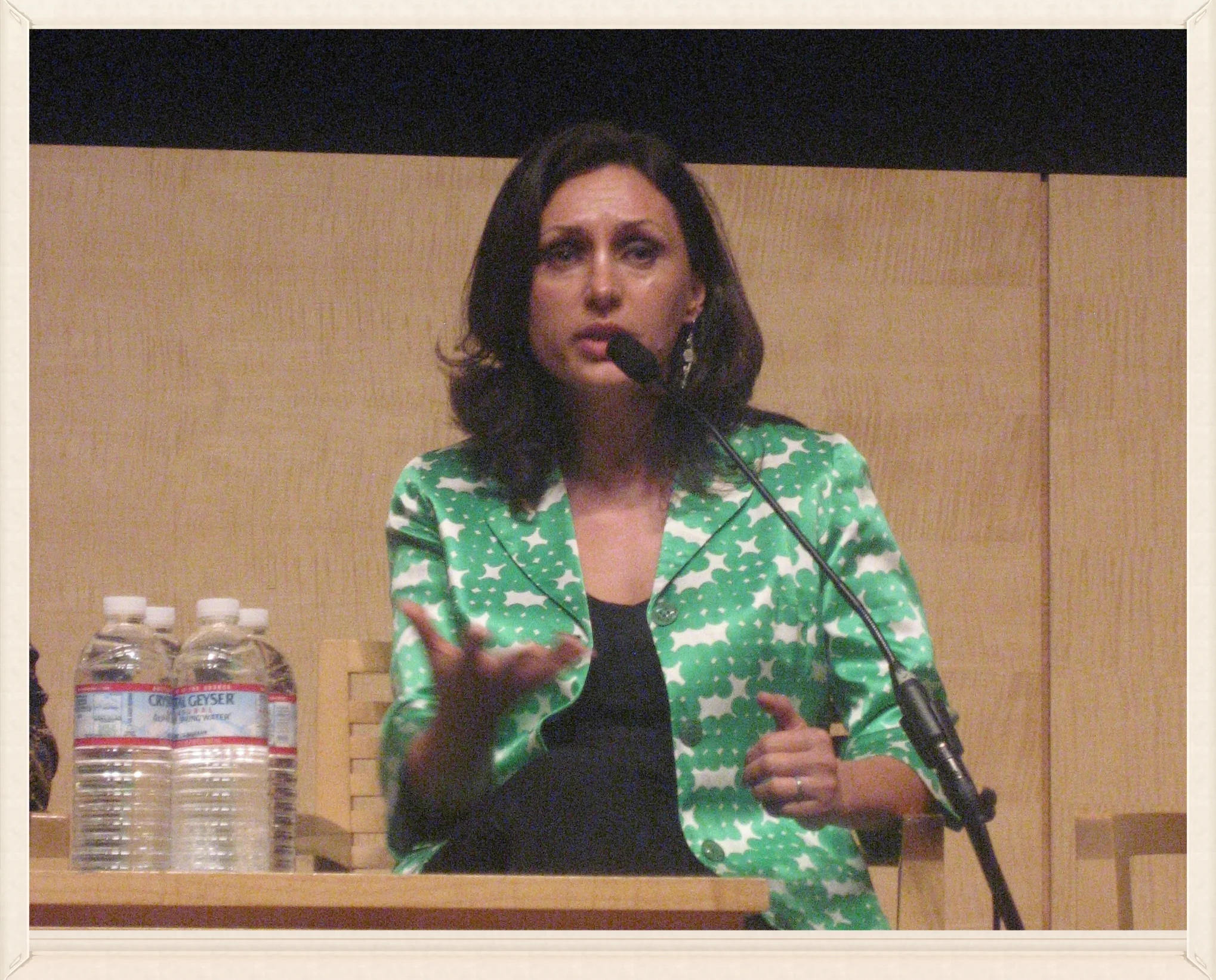 Screening of "Women War and Peace" — Humaira on a panel.