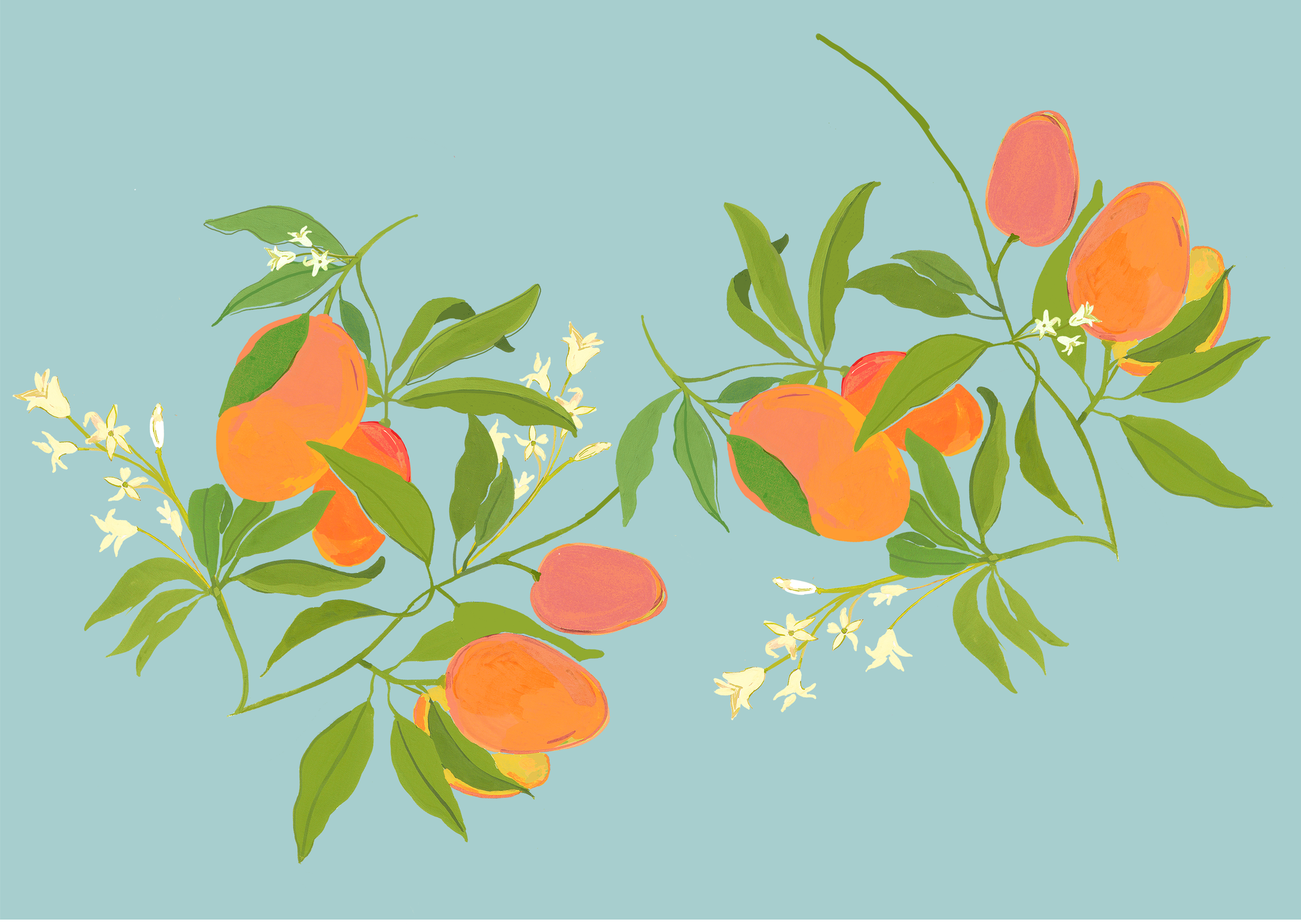 mango 4th draft_preview.png