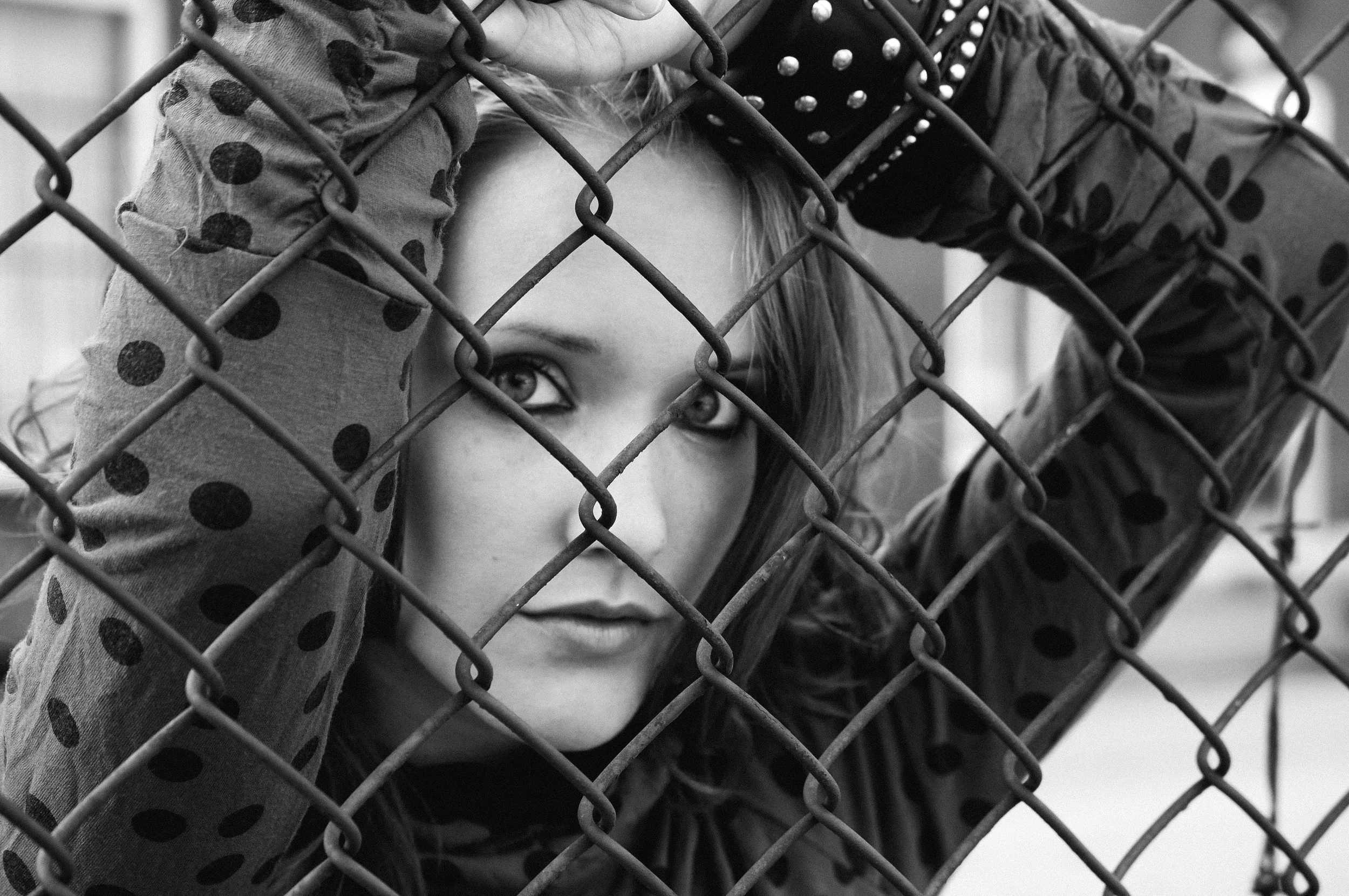 fence-2.jpg
