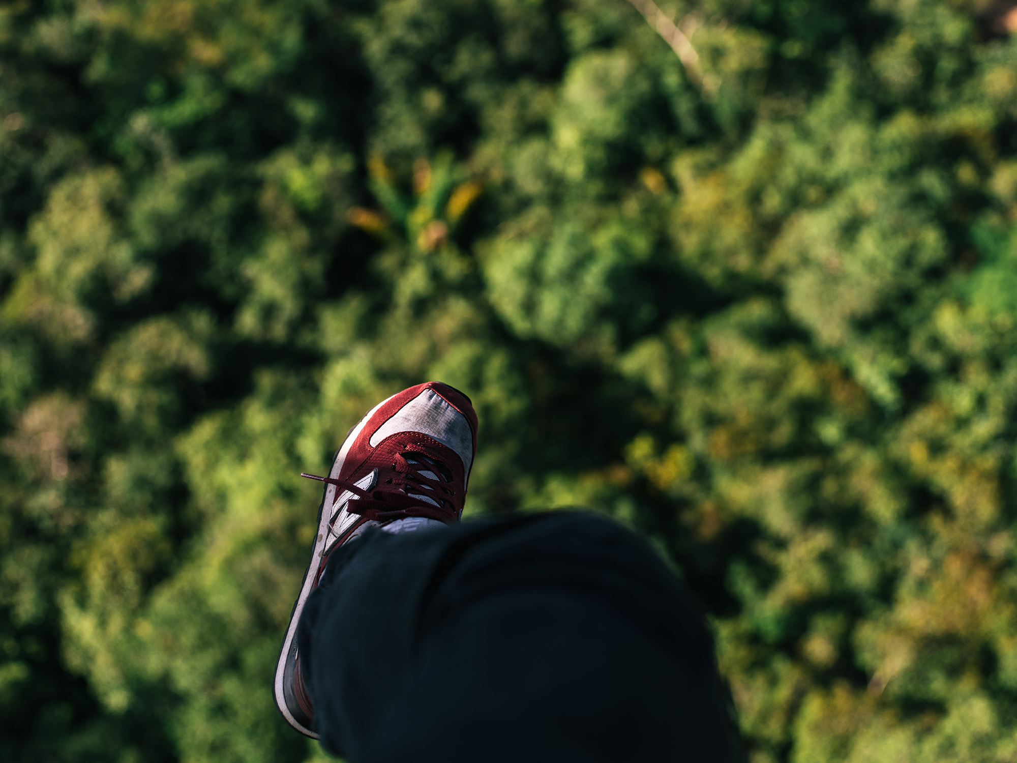 Hanging out over the rainforest.