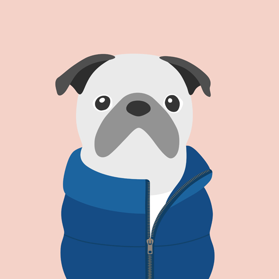 woofmodels-dogsofinstagram-puff-jacket-blue.jpg