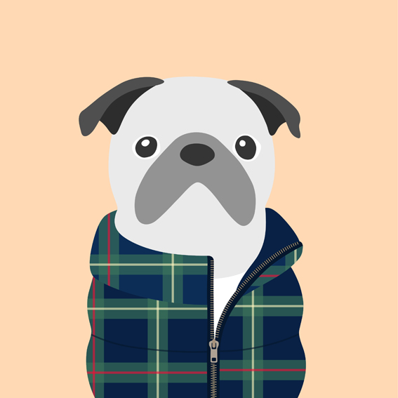 woofmodels-dogsofinstagram-puff-jacket-blue-check.jpg