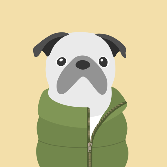 woofmodels-dogsofinstagram-puff-jacket-green.jpg