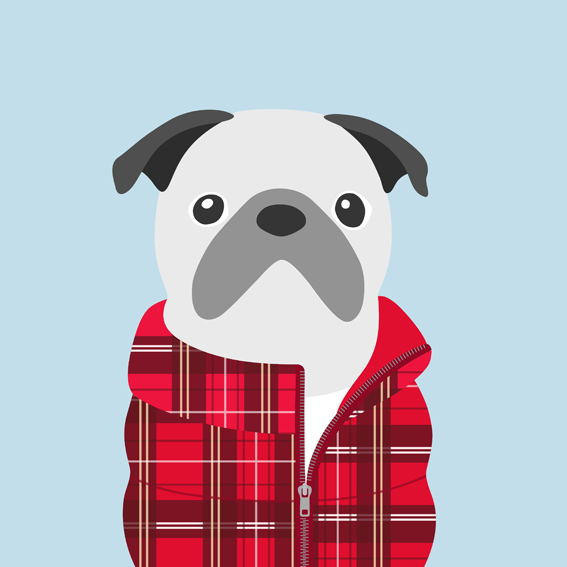 woofmodels-dogsofinstagram-puff-jacket-red-check.jpg