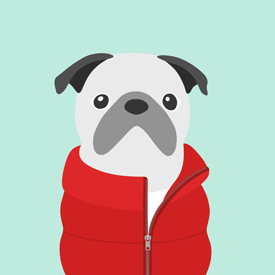 woofmodels-dogsofinstagram-puff-jacket-red.jpg
