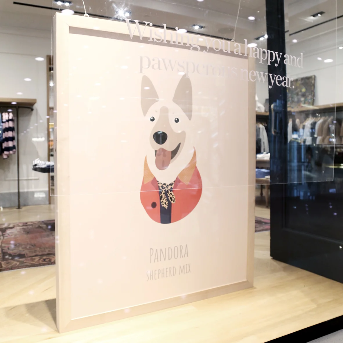 woofmodels-jcrew-pandora-window.jpg