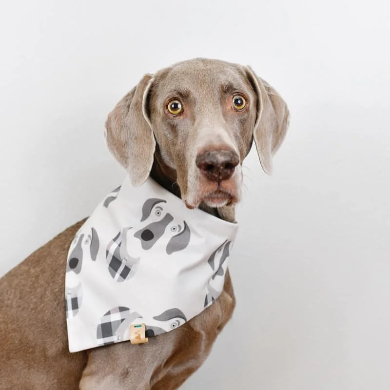 woofmodels-harlowandsage-custom-dog-portrait.jpg