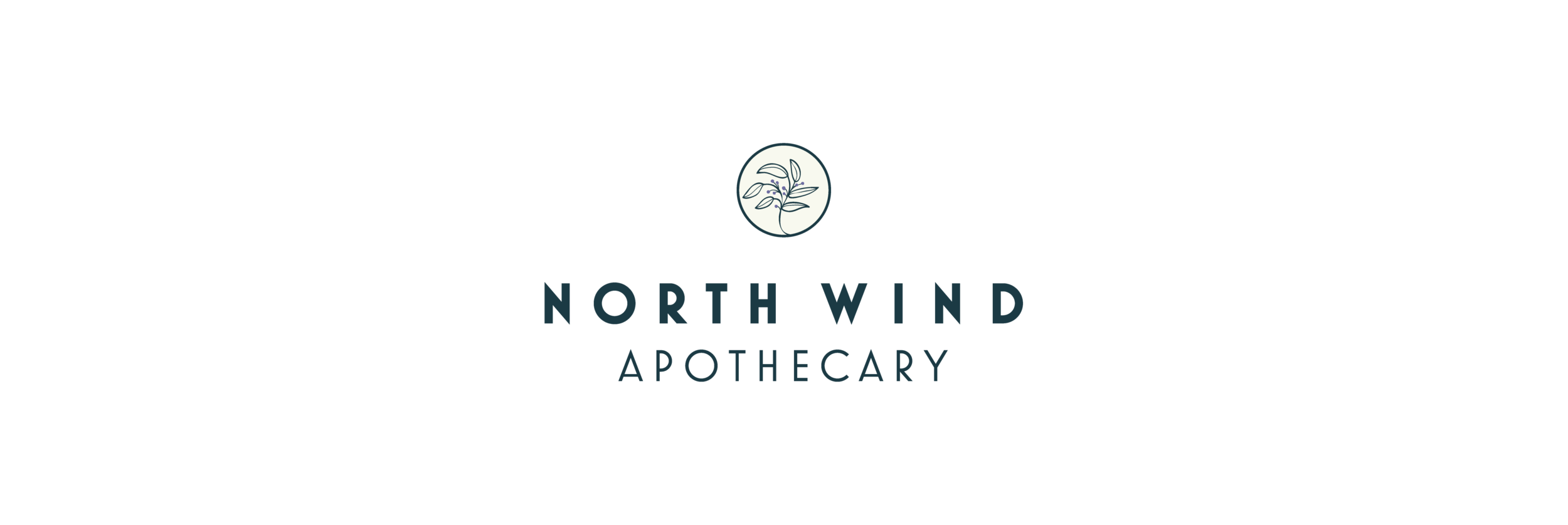 North Wind Logo.png