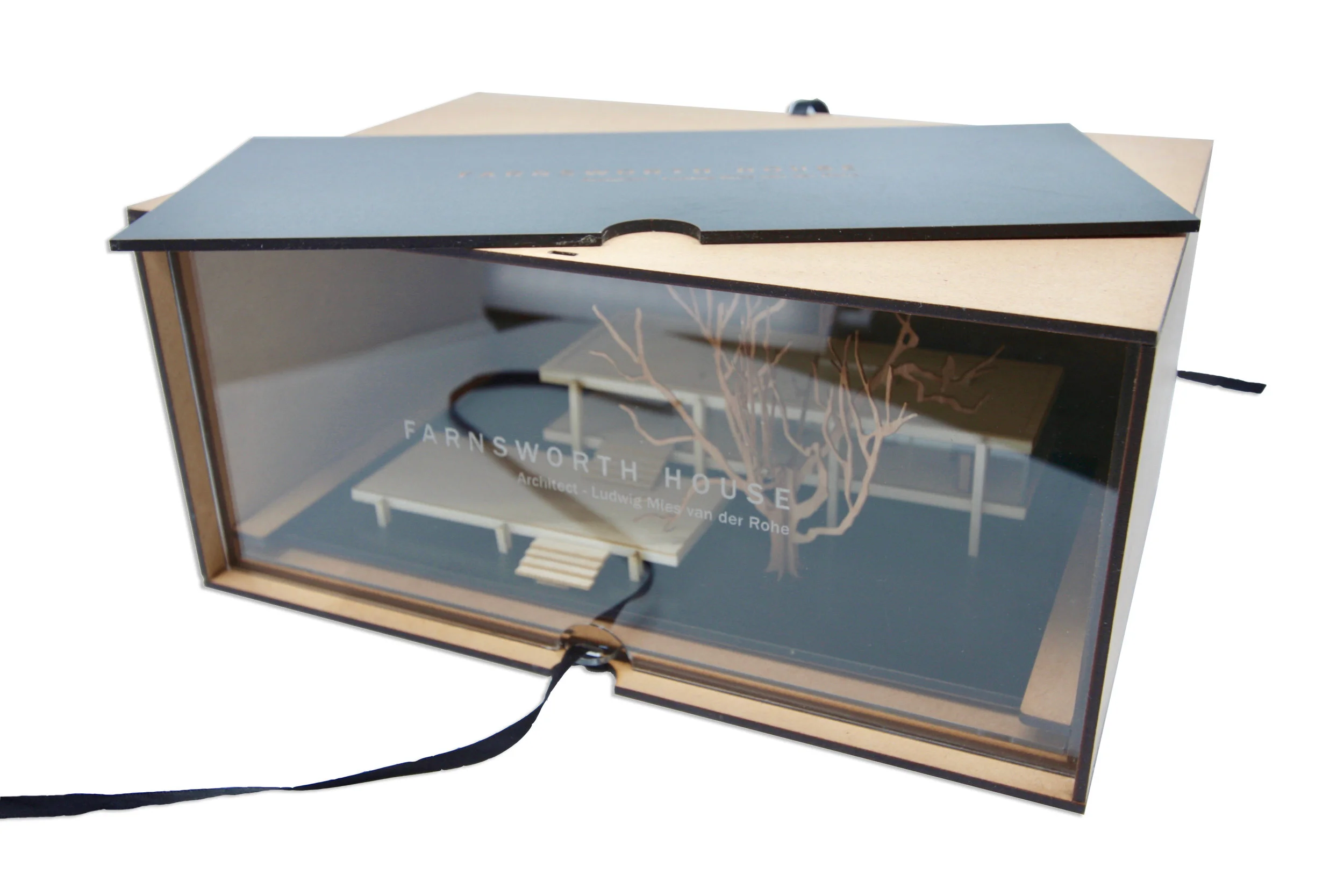 Box 4.jpg