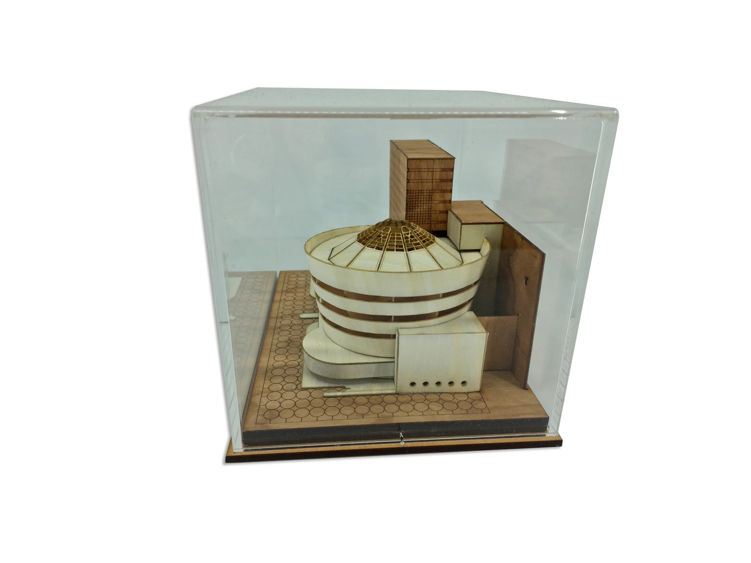 SRGM CASE2 copy.jpg