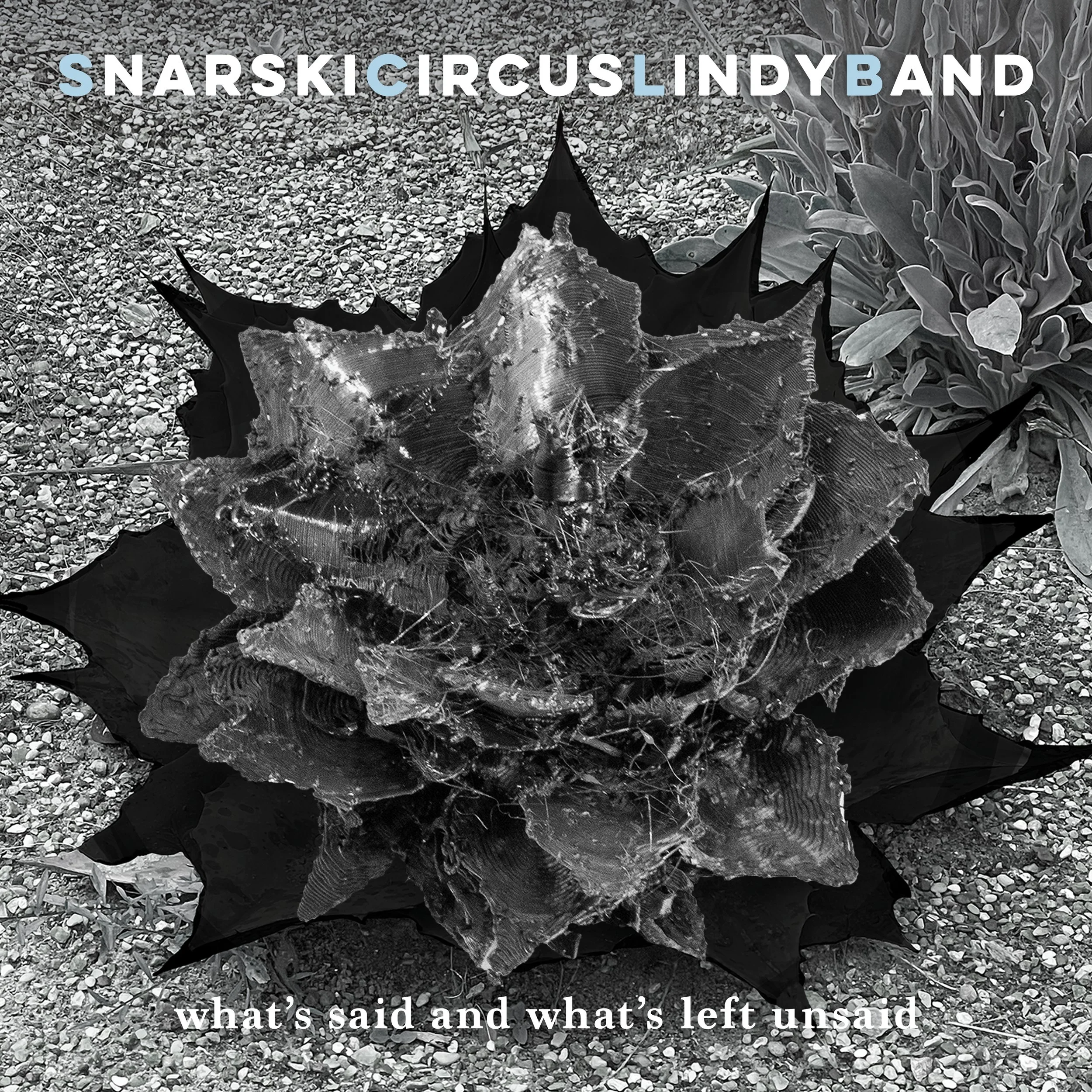 SnarskiCircusLindyBand 'What’s Said And What’s Left Unsaid' - CD