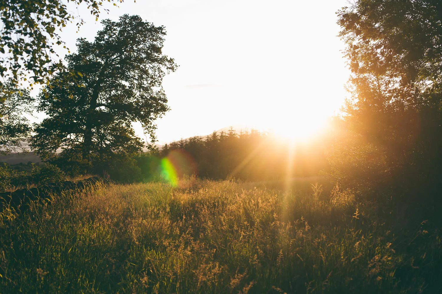 ISO 160, f5, 1/200