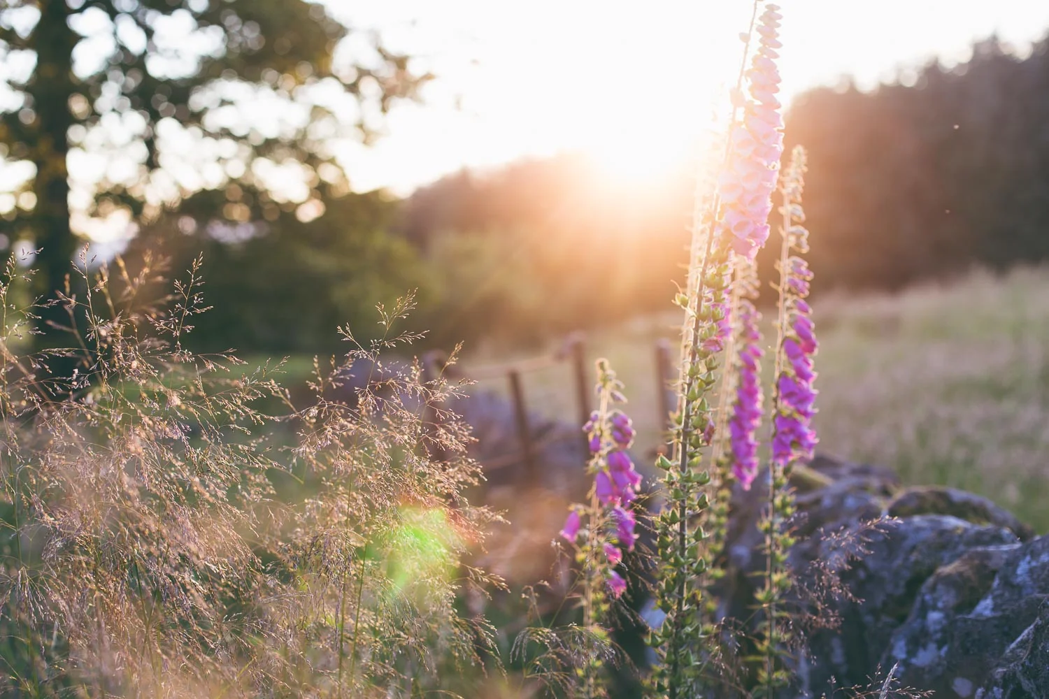ISO 160, f3.2, 1/200