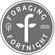 FF official logo1.jpeg