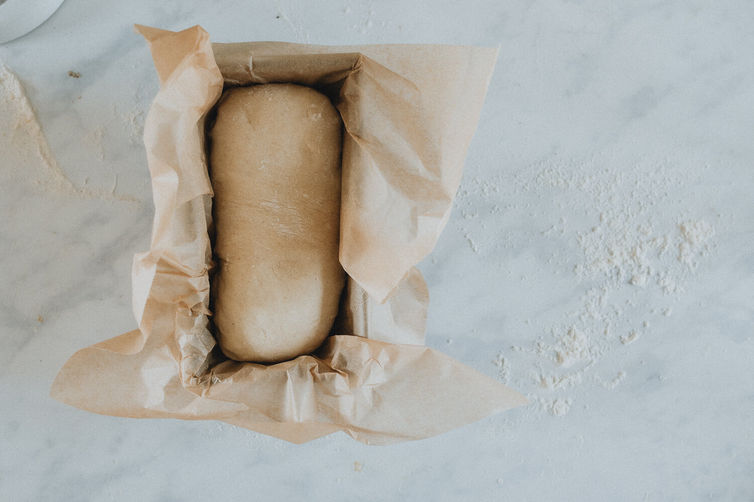 Enriched Sourdough Bread + Soft Dinner Rolls