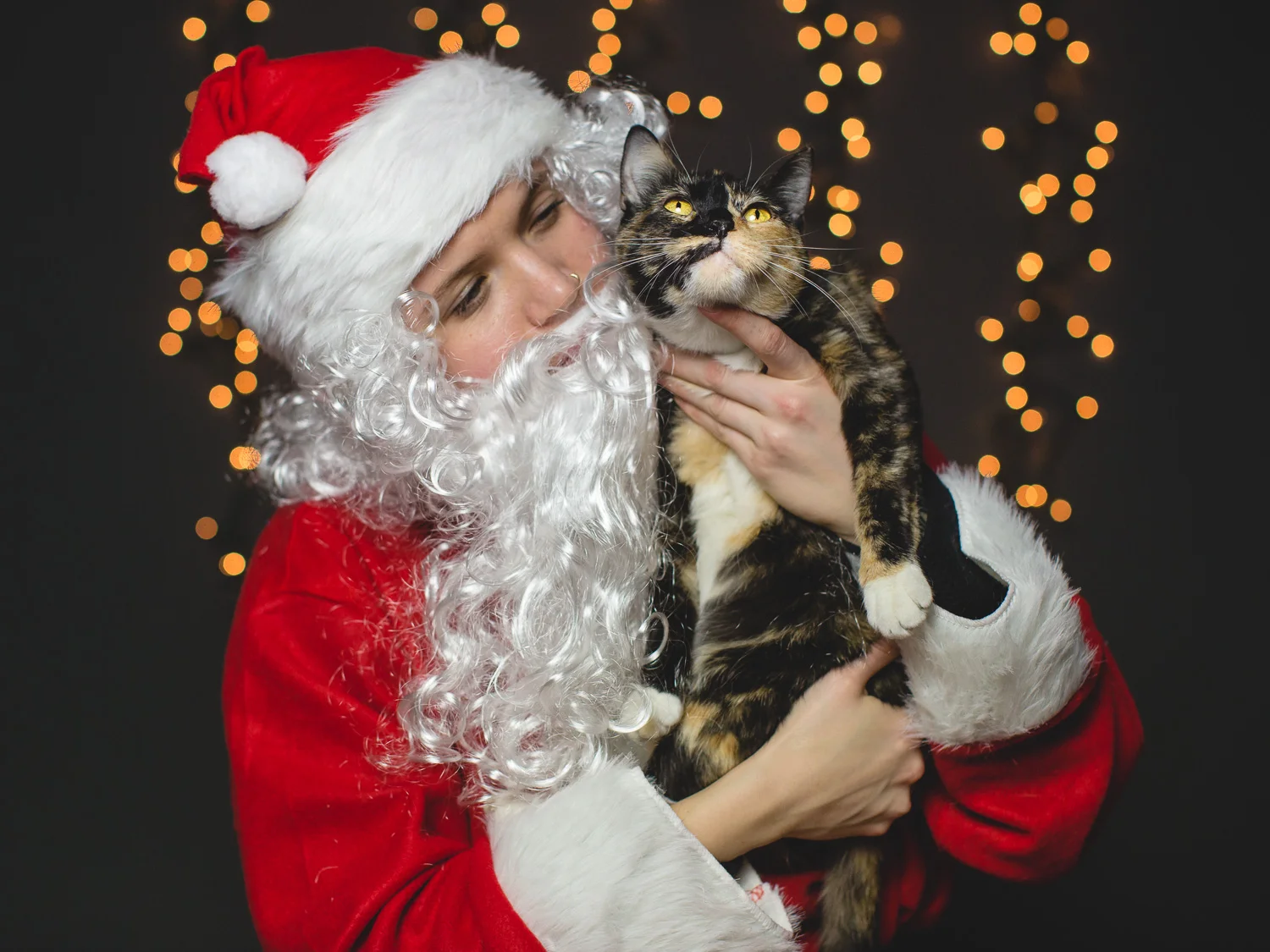 Adoptable Ashley and Peaches In Chicago