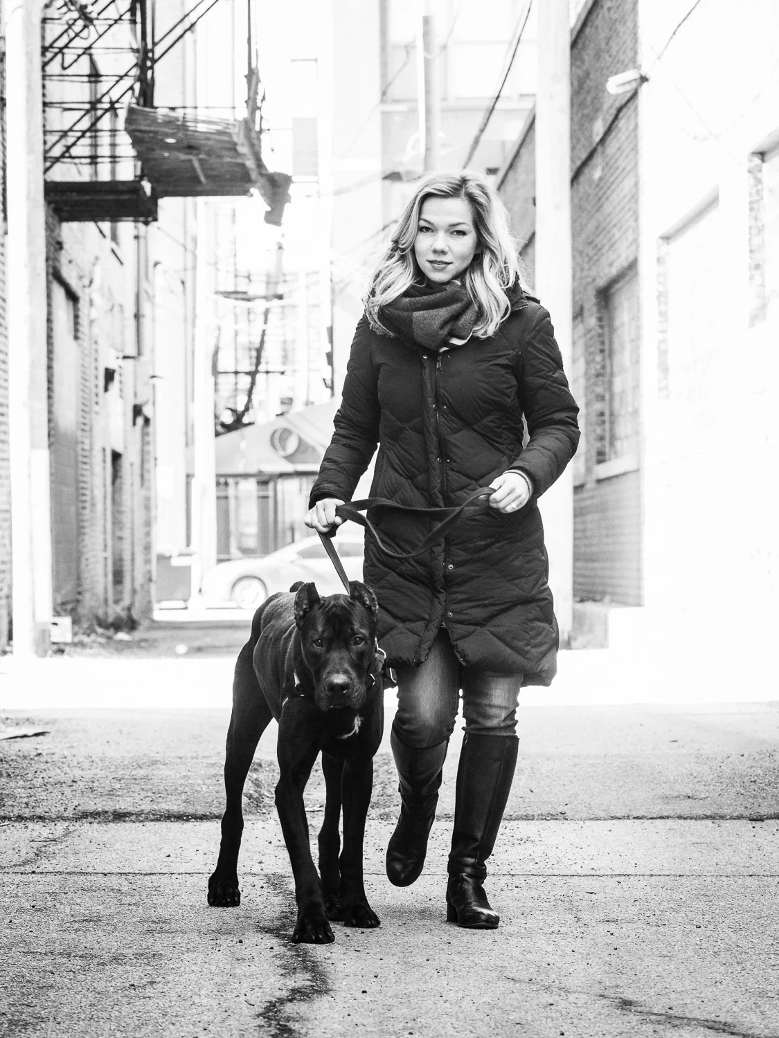 Adoptable Canis Panther In Chicago