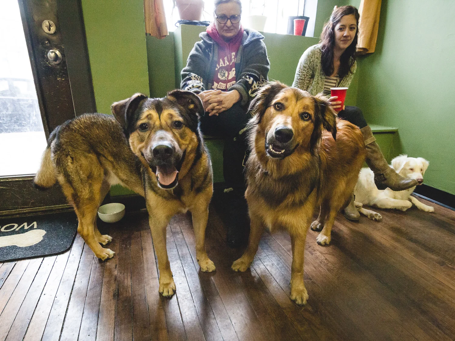 Heart Of Chicago Grooming