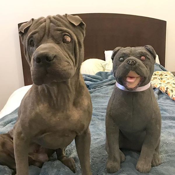 black shar pei stuffed animal
