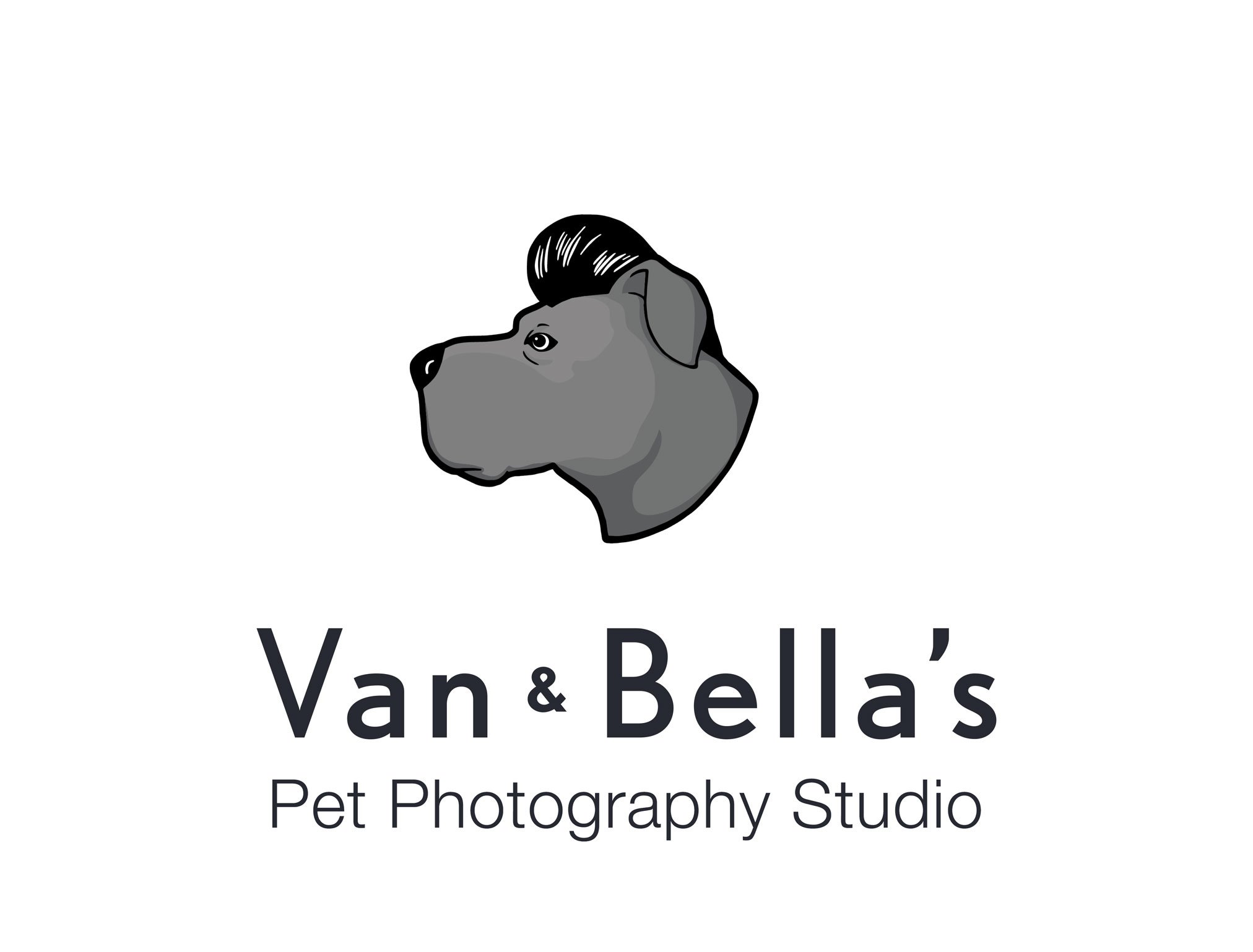 Commercial Pet Brand Photography Portfolio: Gold Paw Series in New  Hampshire, Westway Studio