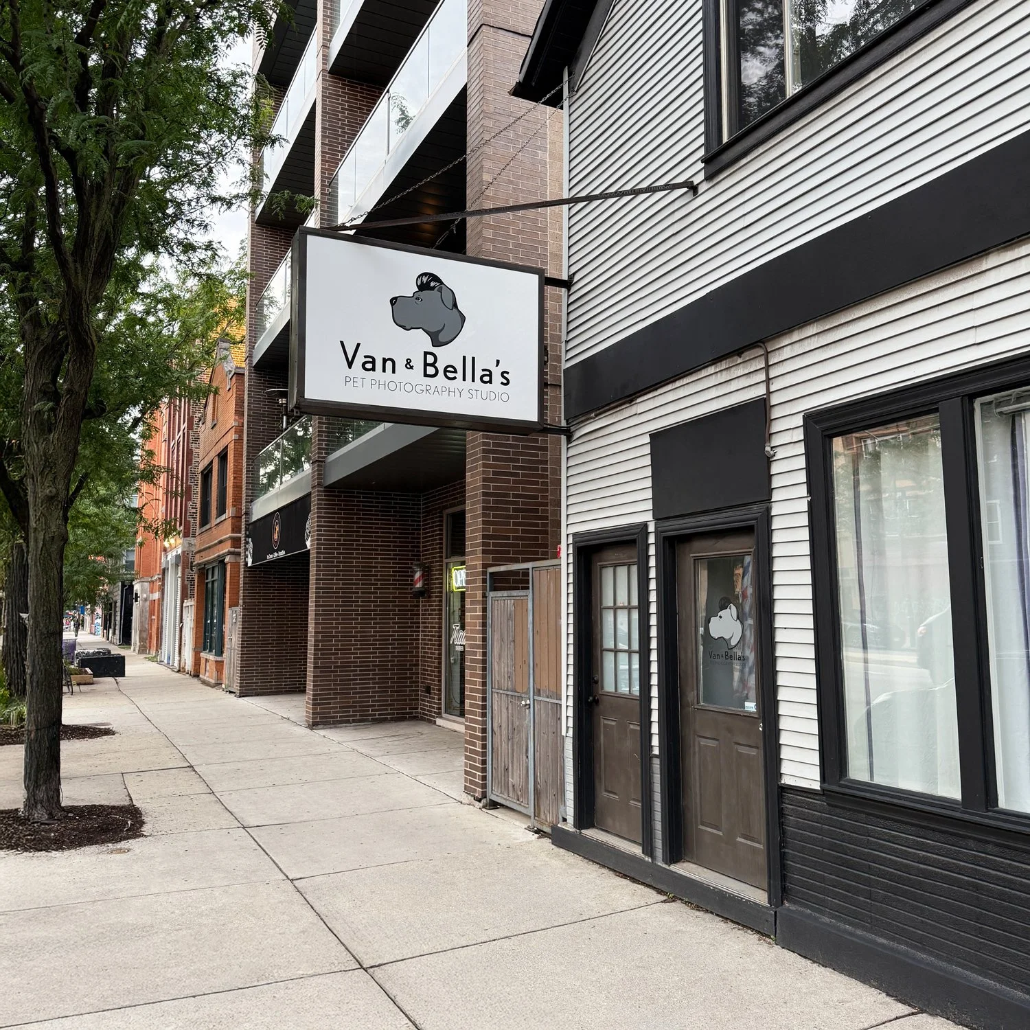 Van and Bella's Pet Photography Studio