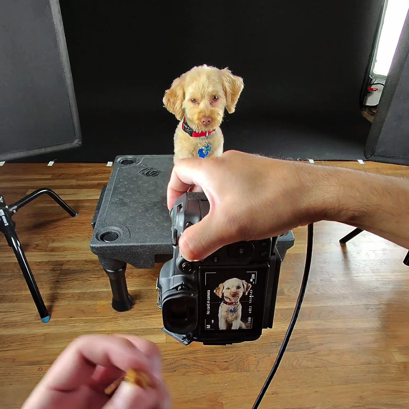 behind the scenes