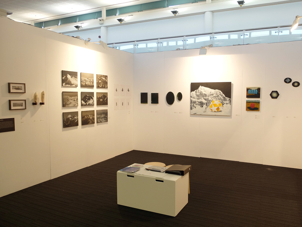 15/01 - 19/01: London Art Fair 2014 with dalla Rosa Gallery