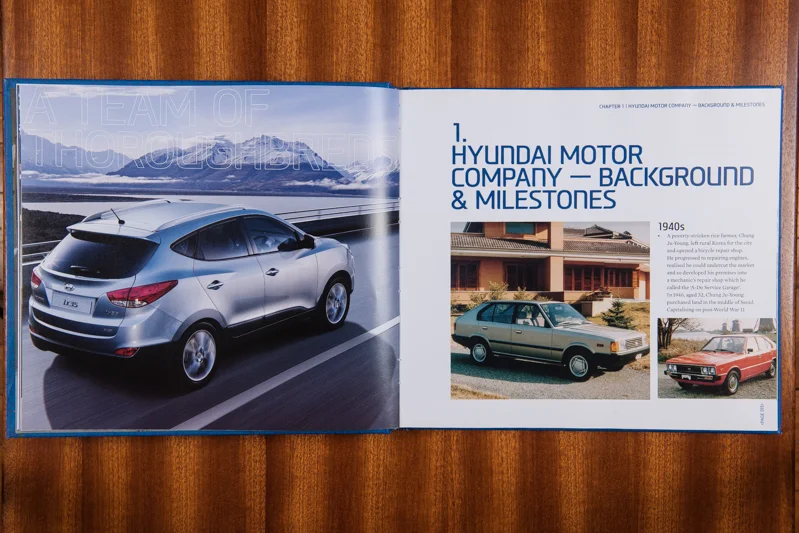 Hyundai 2.jpg