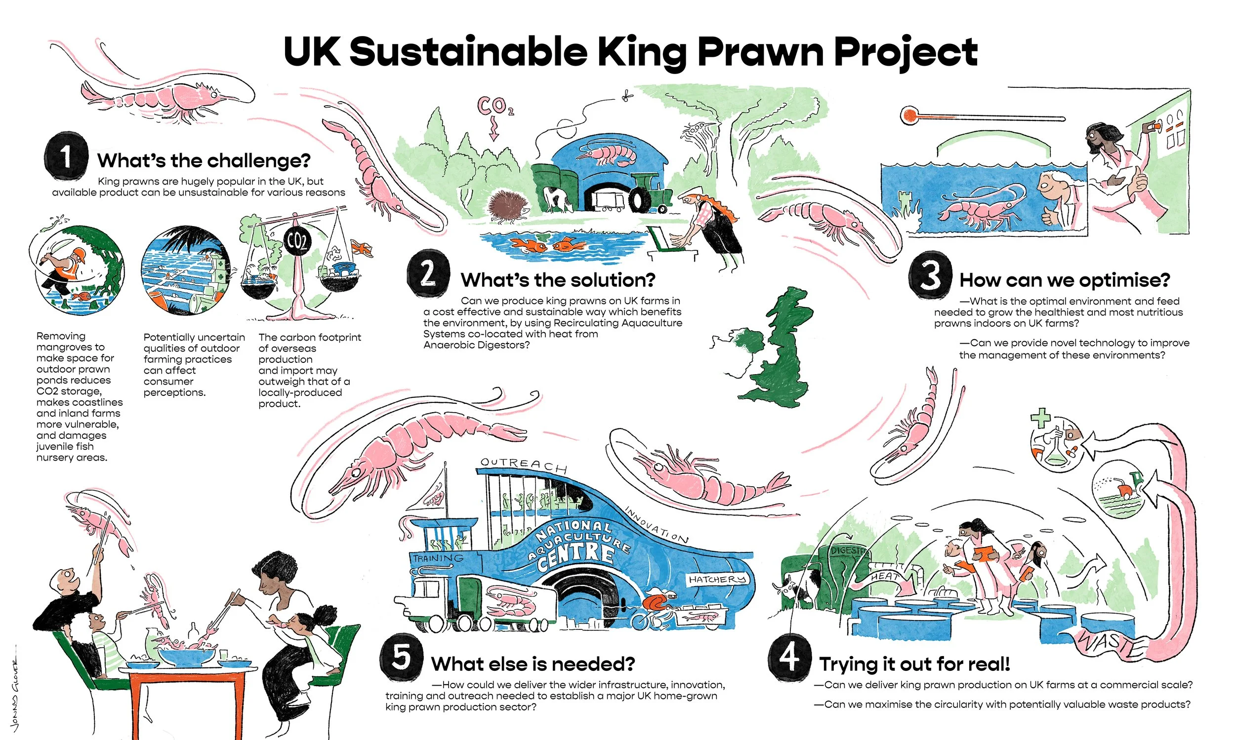 Infographic-Jonny-Glover-More-Than-Minutes-Exeter-Prawn-Project-Sustainability.jpg