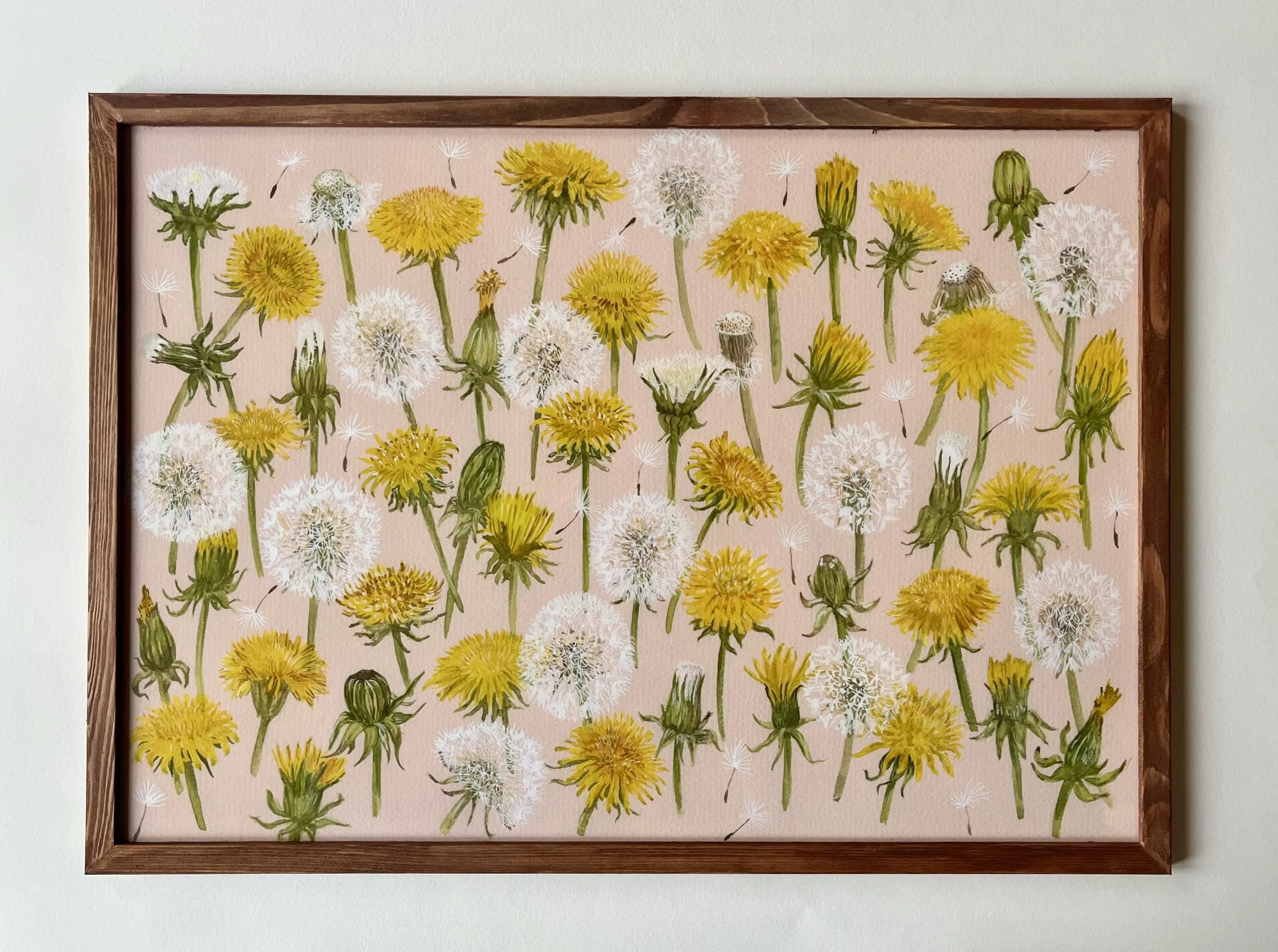 Dandelions_Sarah O'Dea_Print.jpg