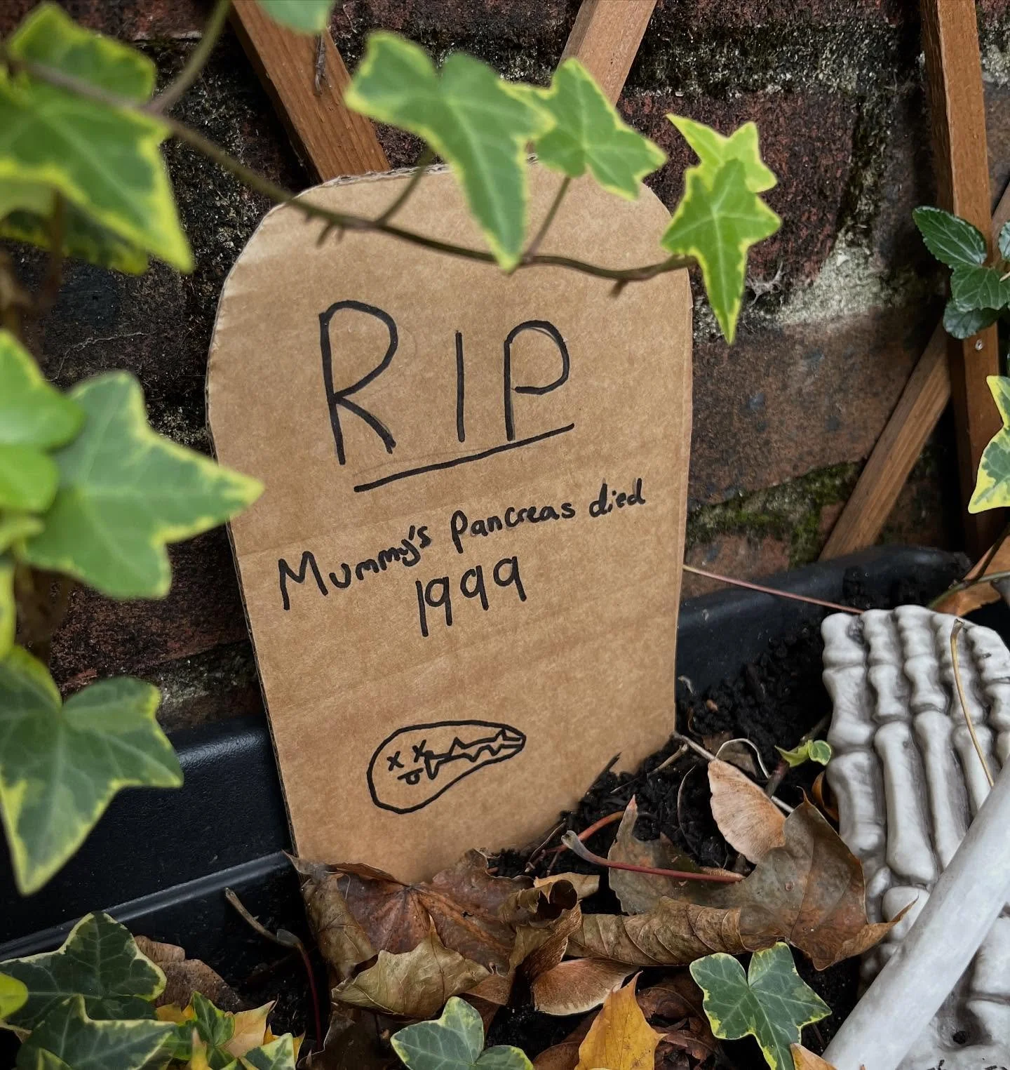 RIP Mummy&rsquo;s Pancreas - 1999
Halloween decorations going up.
Loved Lily&rsquo;s addition to the graveyard this morning&hellip;

#type1life #deadpancreasclub #deadpancreas #halloween #type1life #type1strong #t1dcommunity #type1fun