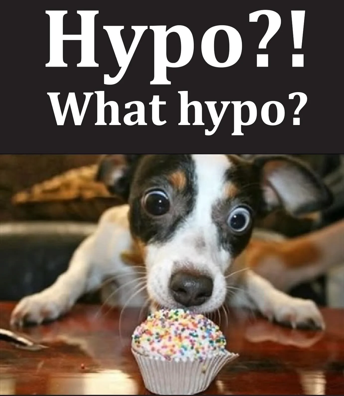 Let&rsquo;s talk hypos.
Hypos are part of Type 1 life and healthy management of type 1 in an active life invariably results in a few of these a week. For me they serve as an indicator that my blood sugars are mostly in range, with 5 being &lsquo;good