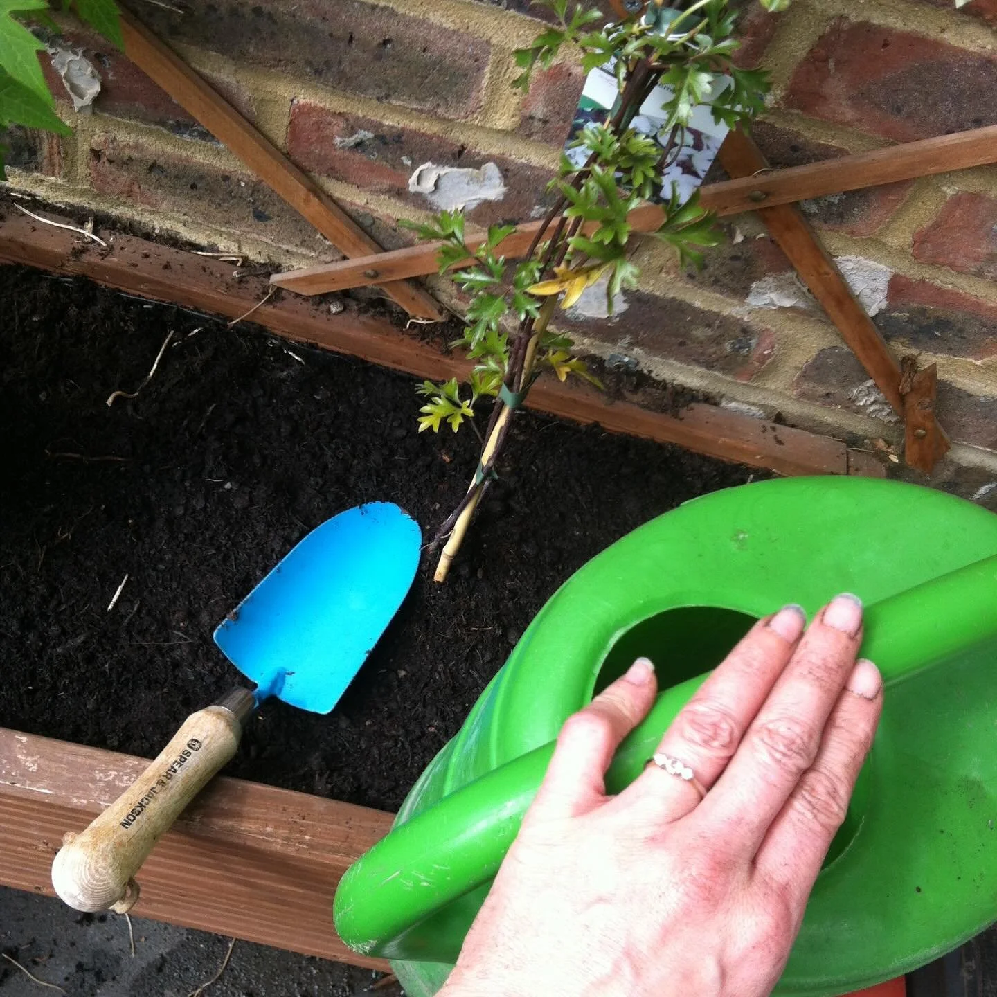 #2016 a year of New Beginnings.
I&rsquo;m late to the 2016 party, but when I looked at my photos how could I not?! What a year!

My first full year of Hid-In.
I got engaged to Adam and found out I was pregnant (not necessarily in that order!) and Lil