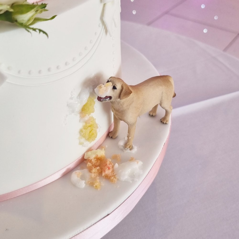 Personalise your wedding cake with your dog! — Jen's Cakery ...